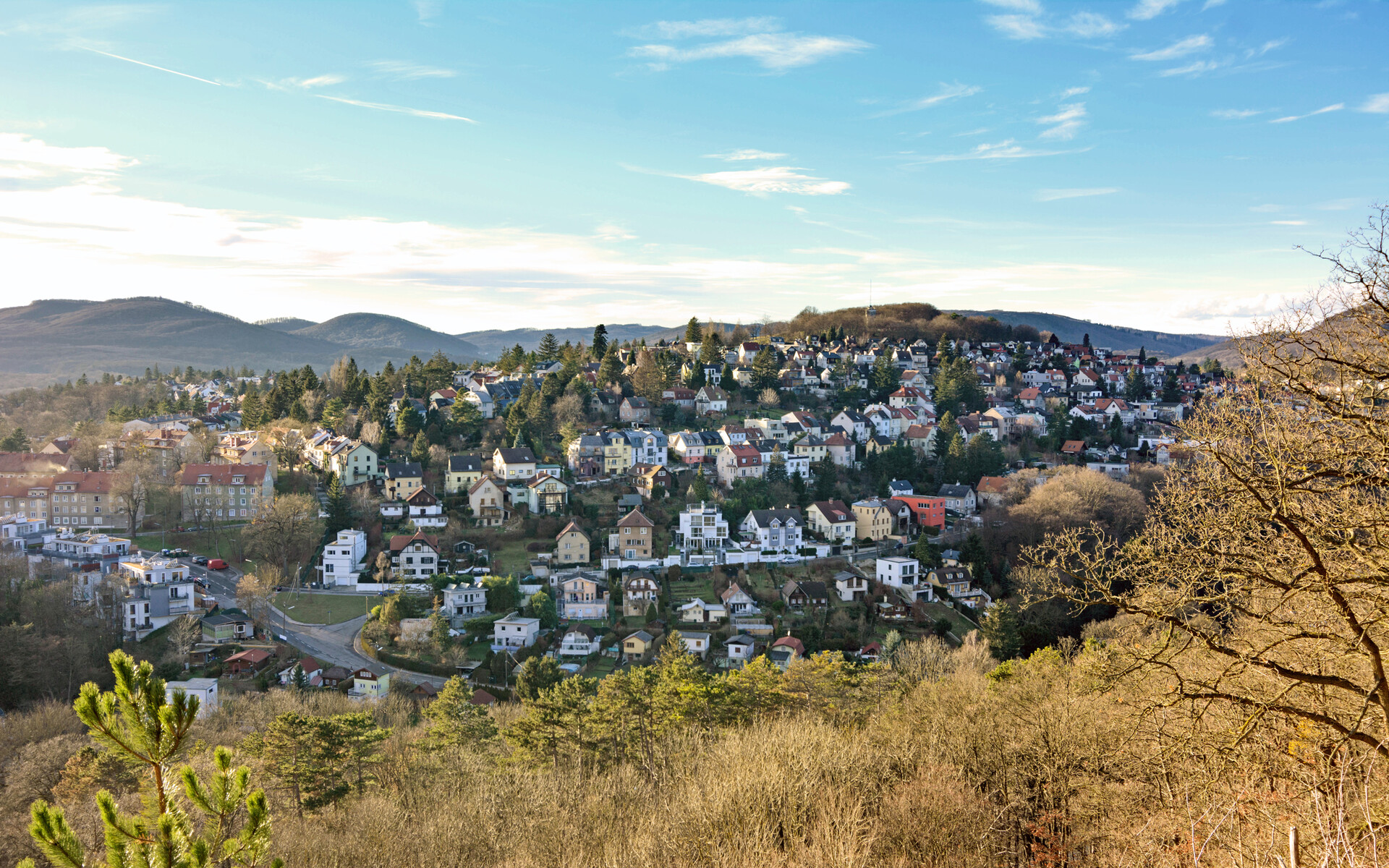 Blick von den Villen auf den schmuck besiedelten Wolfersberg